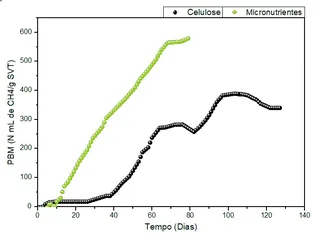 Suplementação de Vitaminas e Micronutrientes